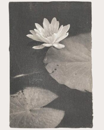 40 DAYS TO ABUNDANCE | START 01. MAI 2026